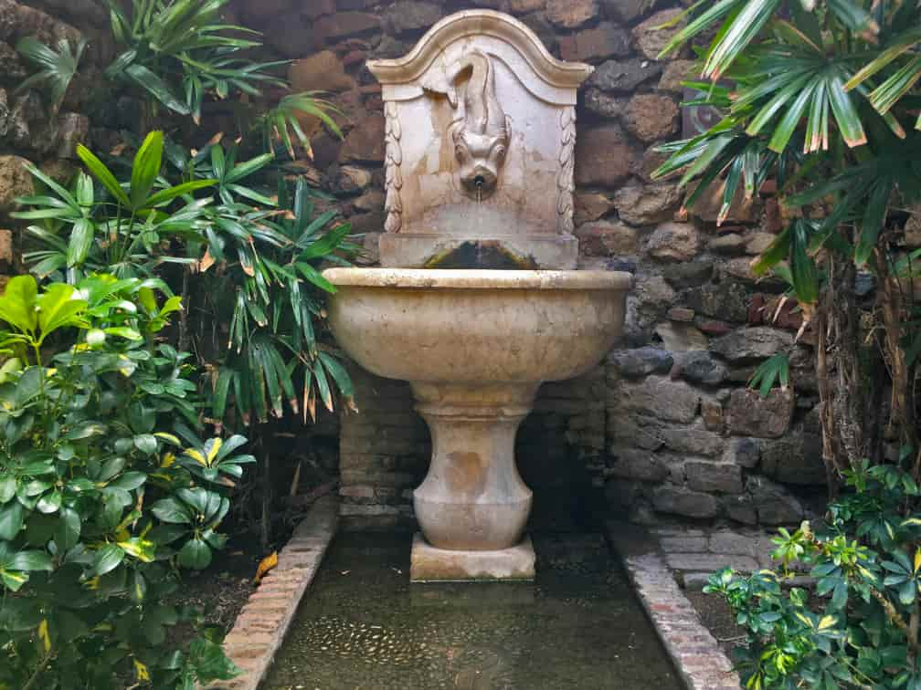 fuente del pez